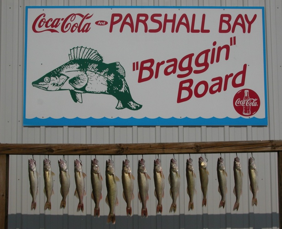 BragginBoardfish